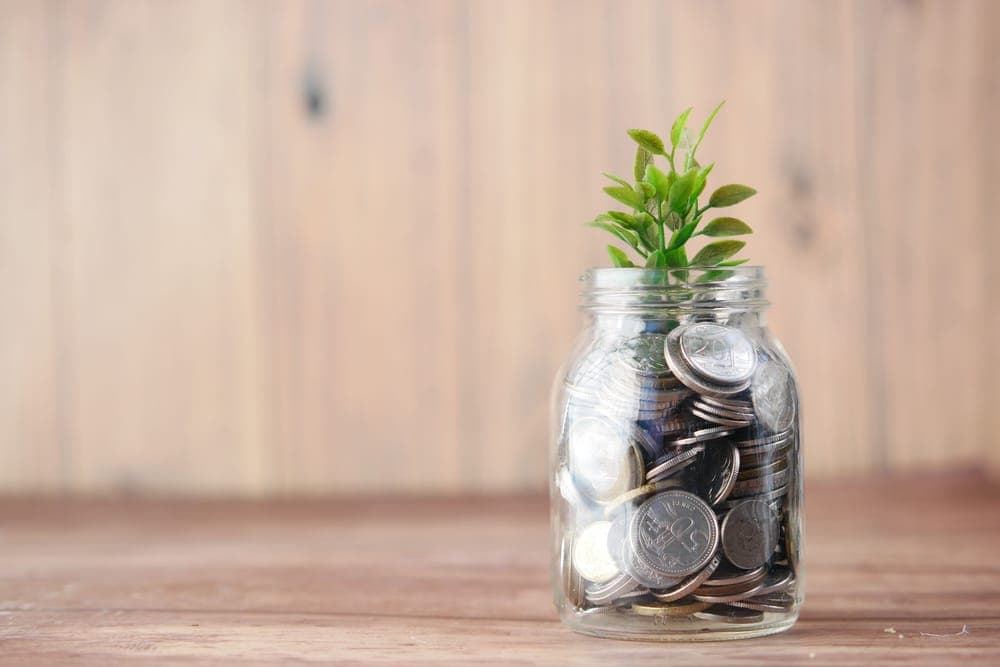 A glass jar full of coins with a small green sprout on a wooden table